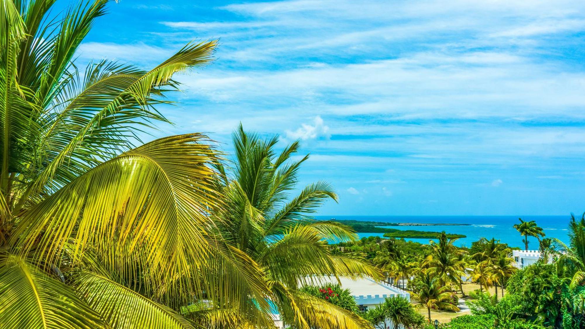 Castles In Paradise Villa Resort Vieux Fort Exteriör bild
